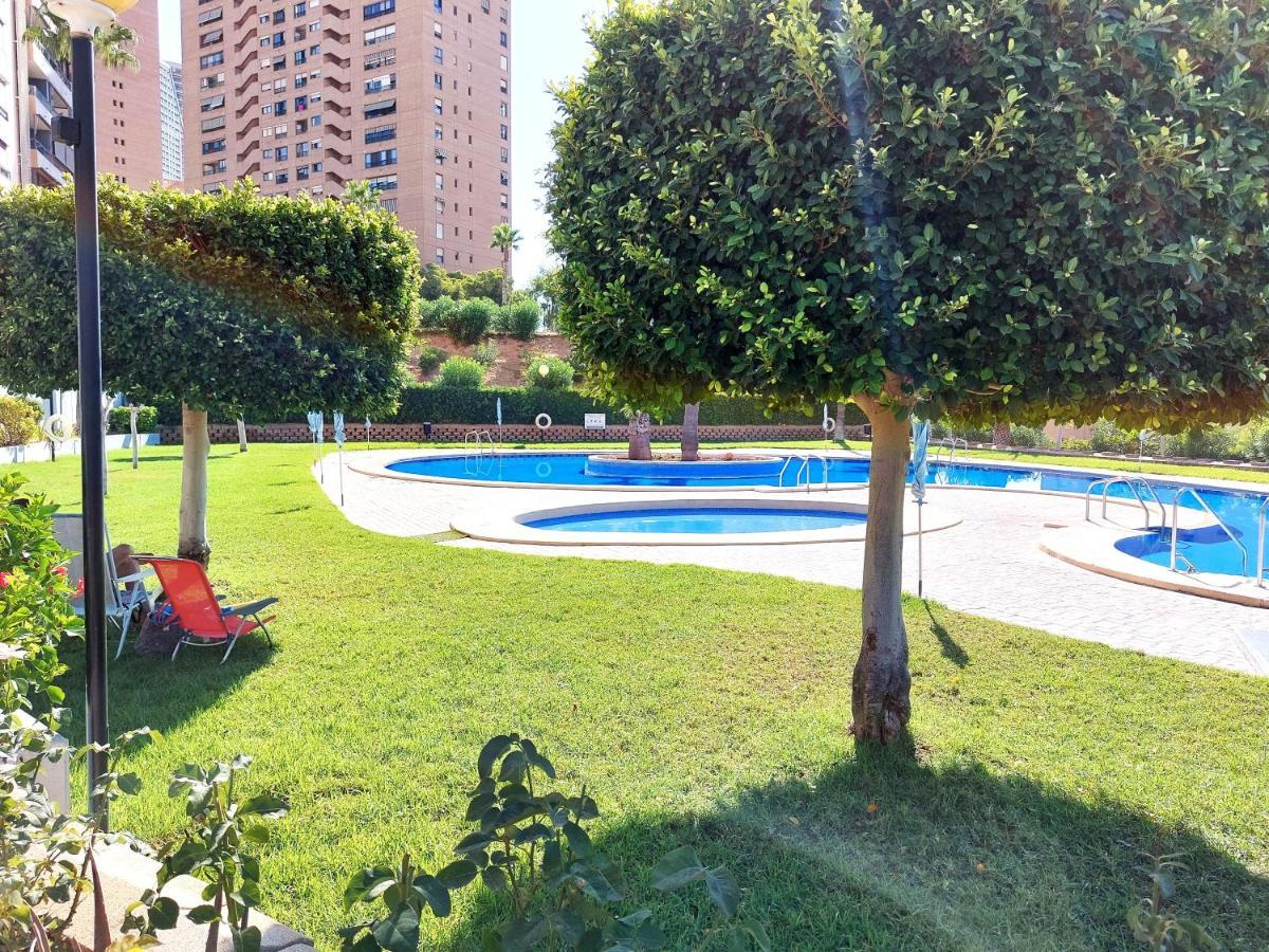 Luxury 3 Dormitorios Frente Al Mar En Las Marinas By Sonneil Rentals 貝尼多姆 外观 照片